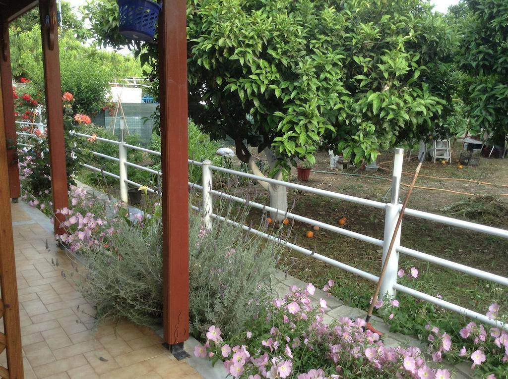 Studios Lalu Skiathos Cameră foto